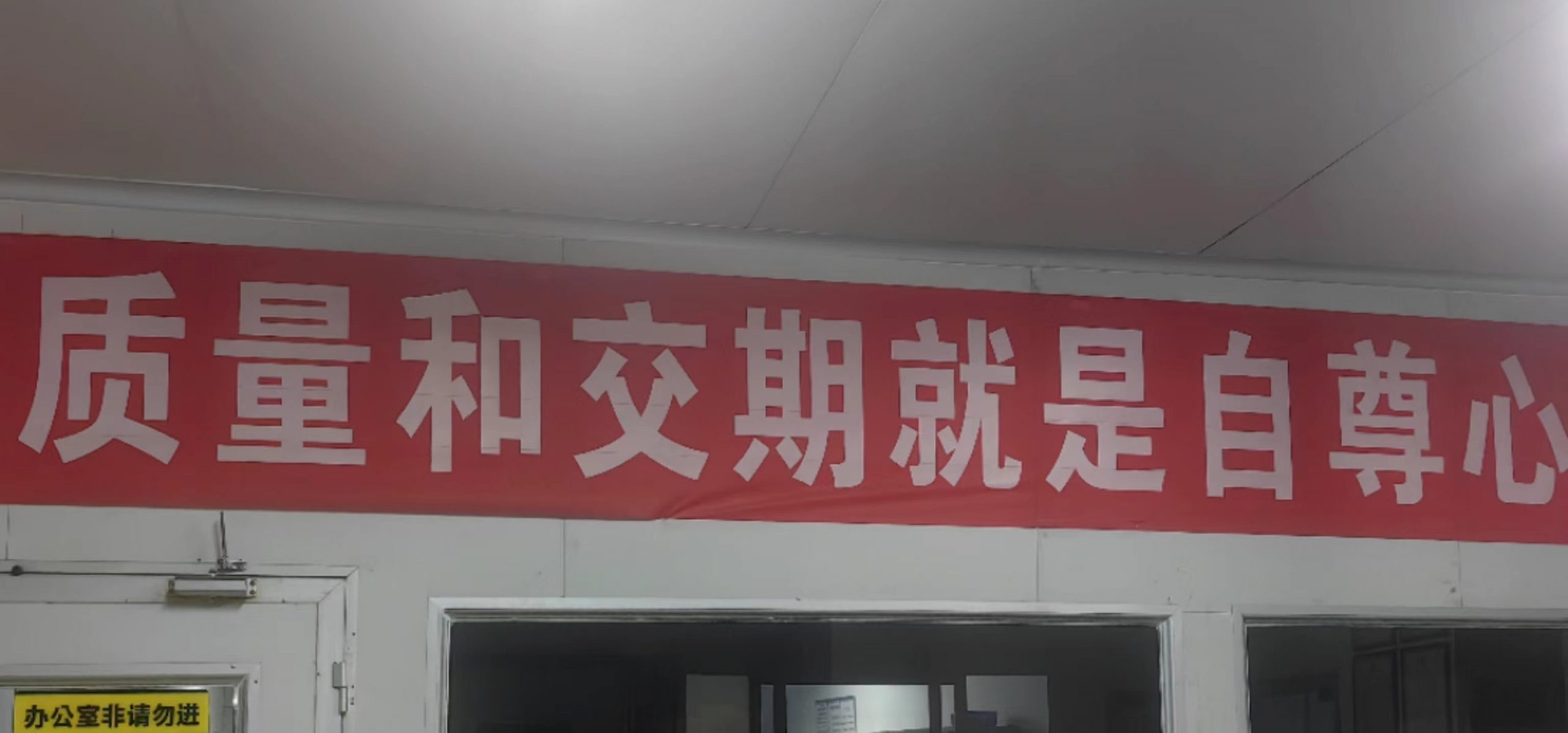 共赴2024，蒲苇韧如丝，磐石无转移