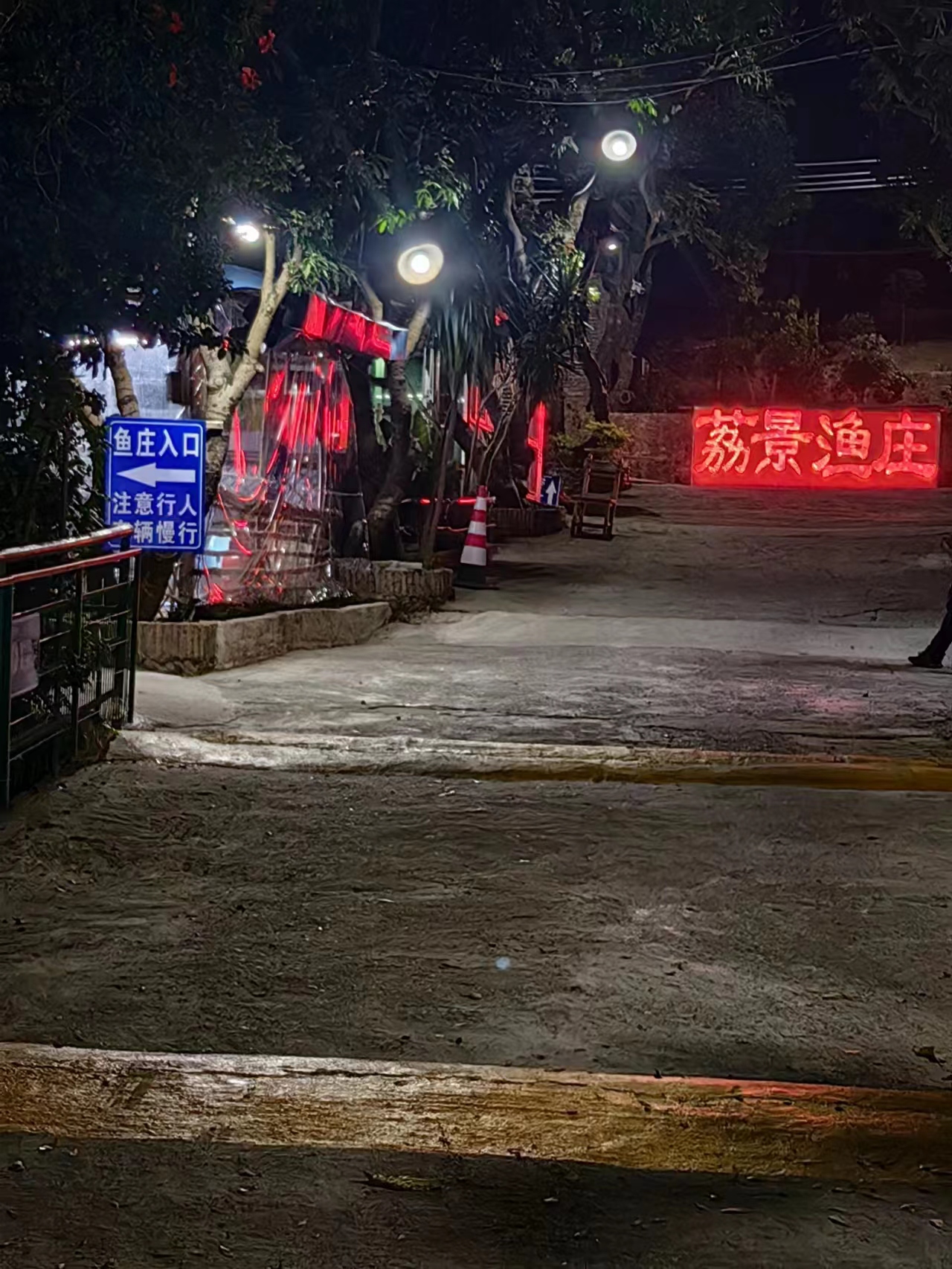 共赴2024，蒲苇韧如丝，磐石无转移
