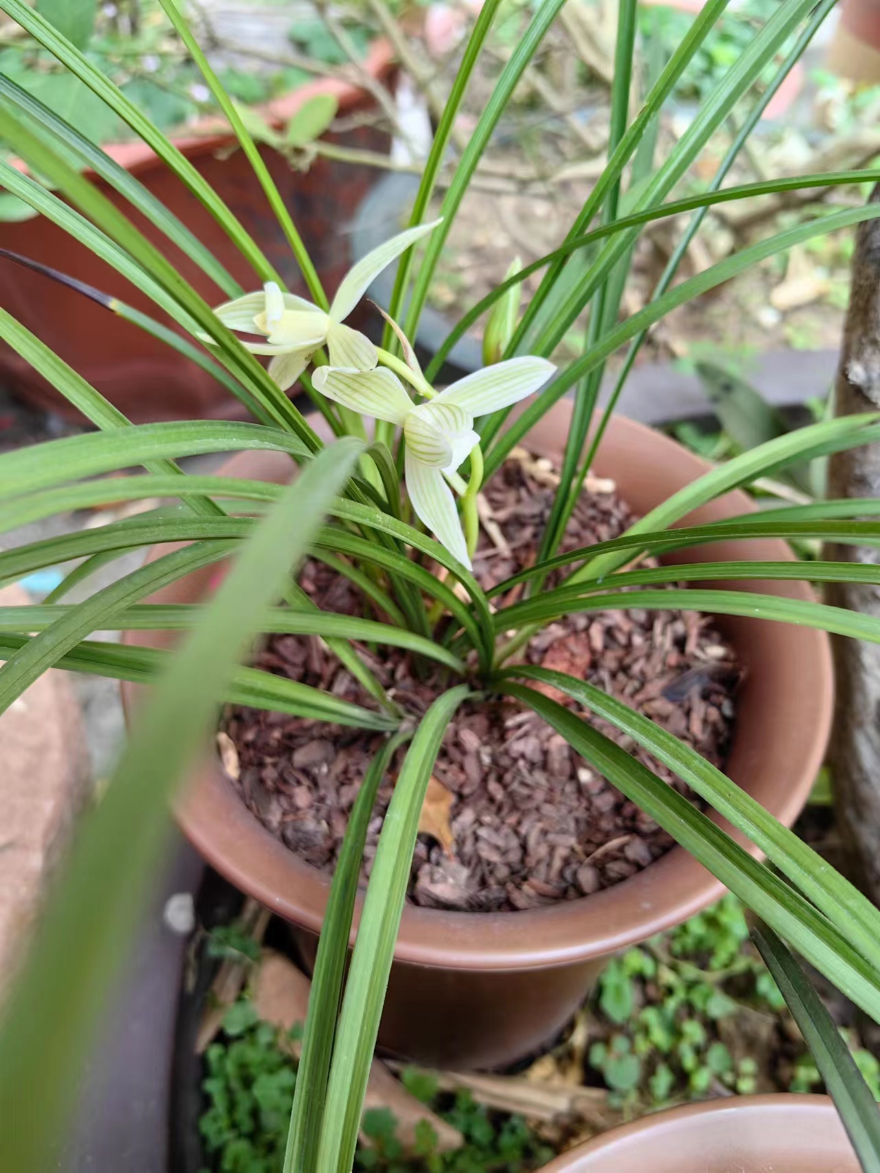 《深圳宇锡祝大家元宵节快乐》