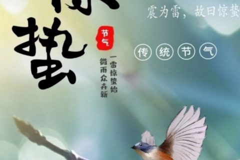 惊蛰时节