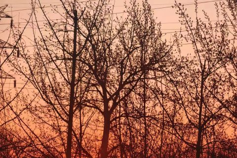 深圳宇锡-40℃低温屏适配各型单北斗终端
