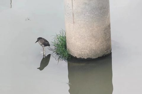 《深圳宇锡只交两种朋友》