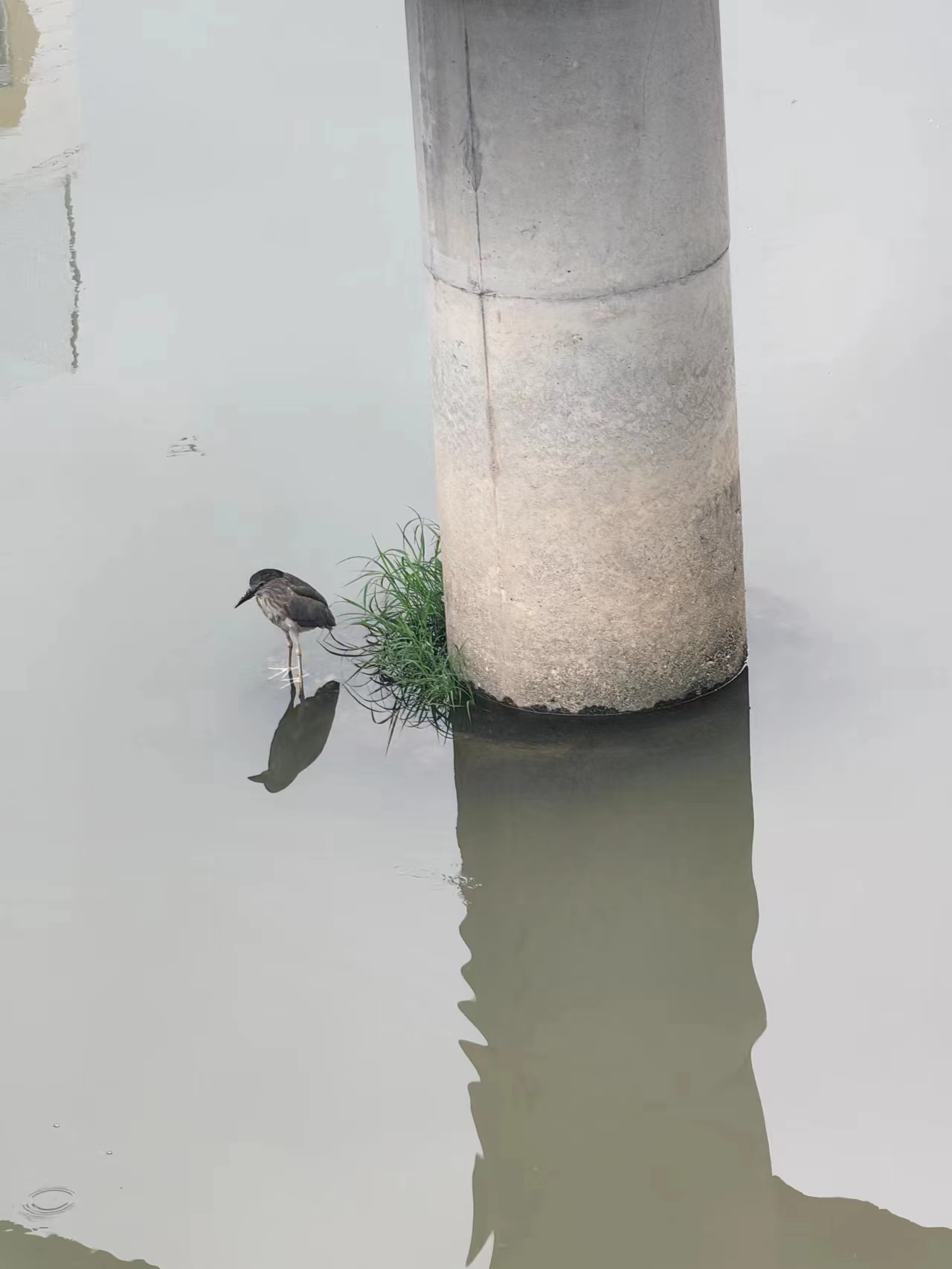 《深圳宇锡只交两种朋友》