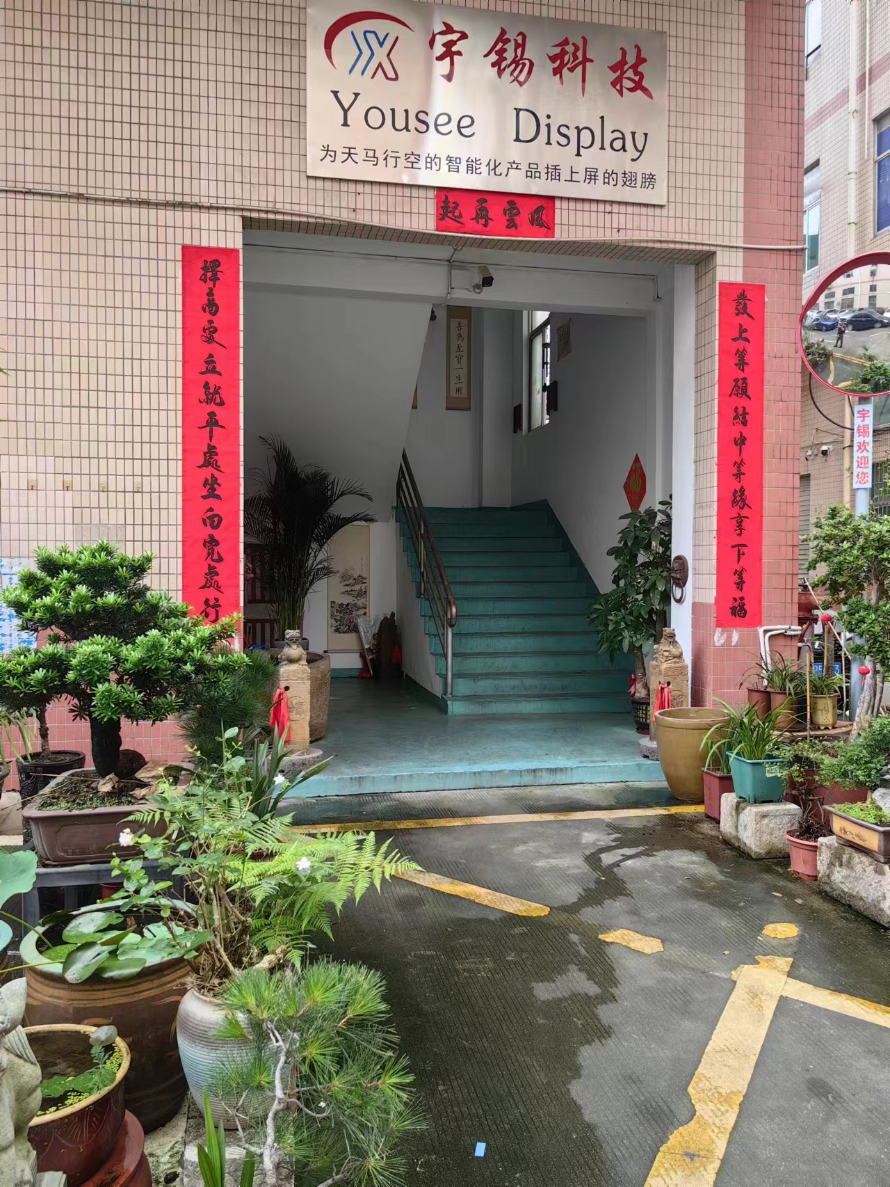 《心若菩提》