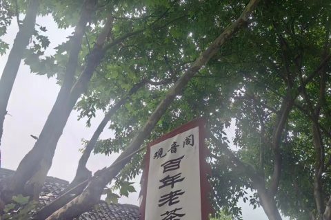 《宇锡自省——人生“九不足”》