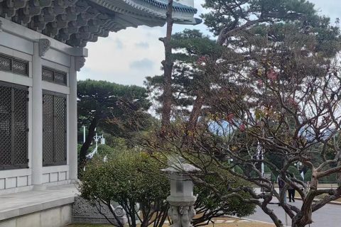 深圳宇锡读《穆斯林的葬礼》有感