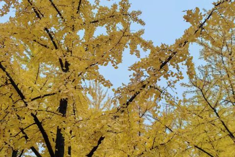 《深圳宇锡的屏幕有重量》