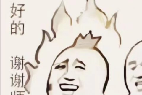 《6寸FHD+高端手持屏幕总成——深圳制燥》