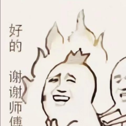 《6寸FHD+高端手持屏幕总成——深圳制燥》