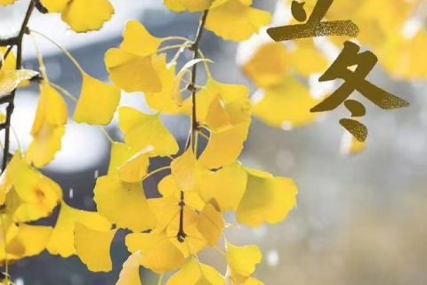 《冬天来了，春天还会远么？》