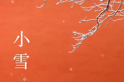 《今朝若是同淋雪，此生也算共白头》