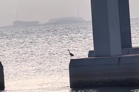 《深圳宇锡初三祝福语:自强不息》