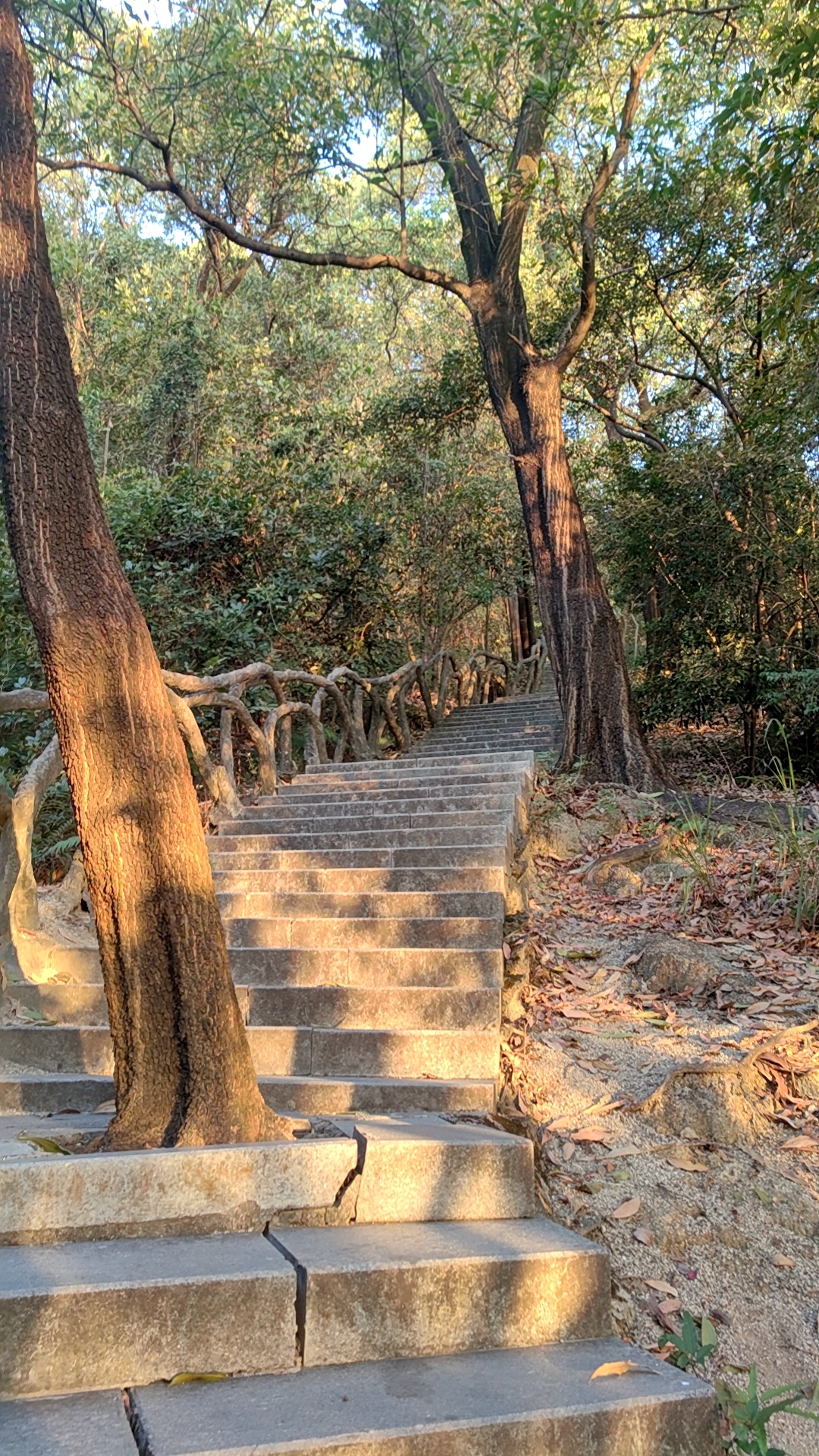 《深圳宇锡户外运动社团成立》