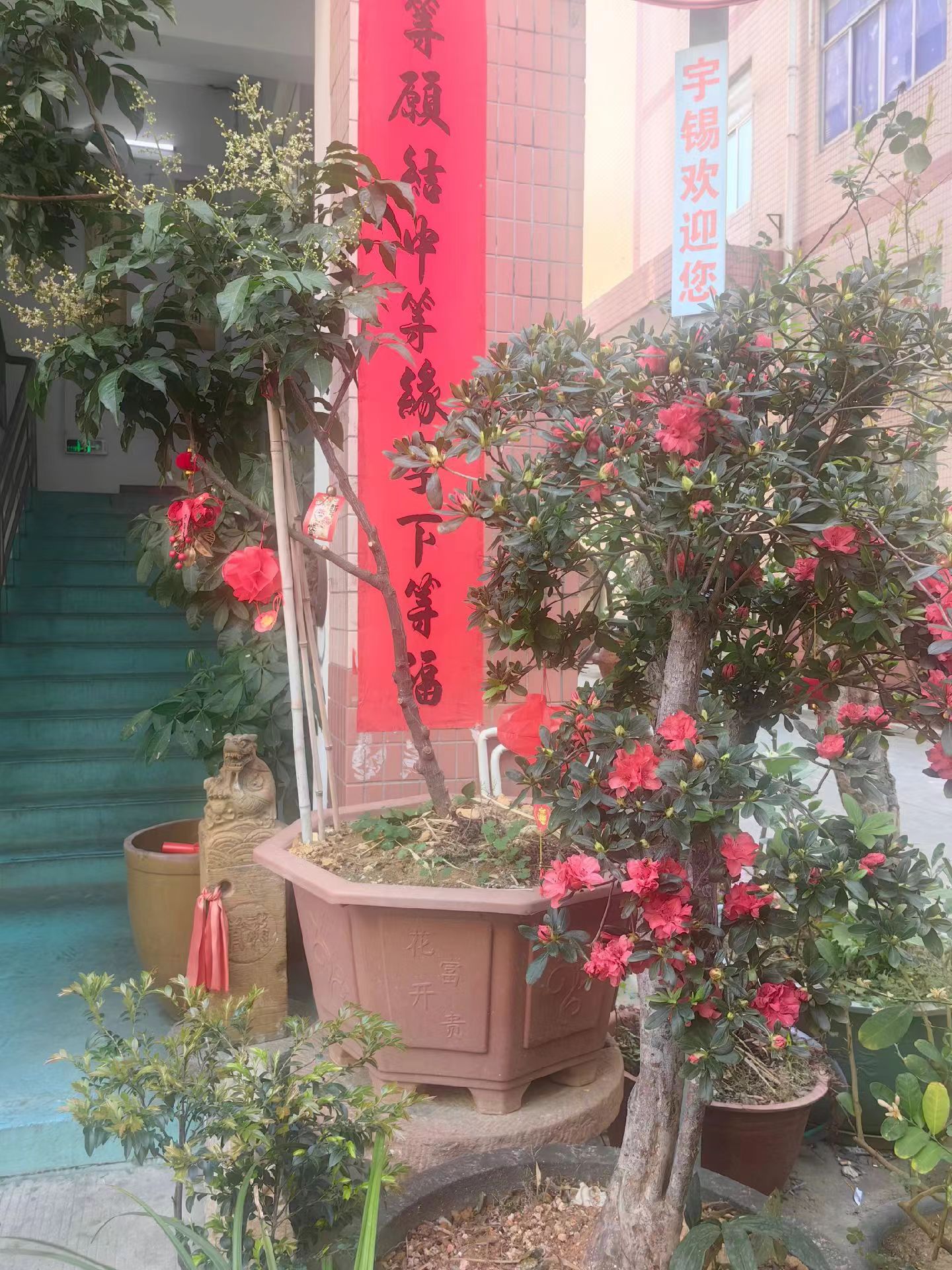 《深圳宇锡“红红火火”一个家》