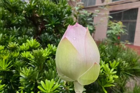 《深圳宇锡向远看，向强学，向内求》