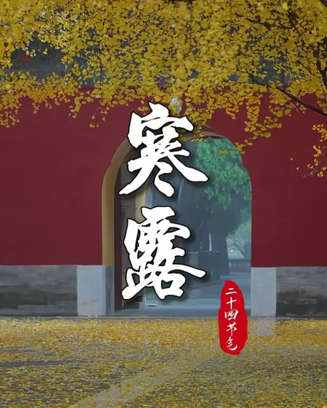 《寒露，宇锡冲锋号角已经吹响》