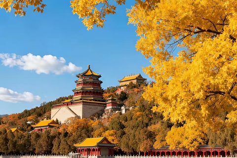 《立冬！深圳宇锡对点悟有感》