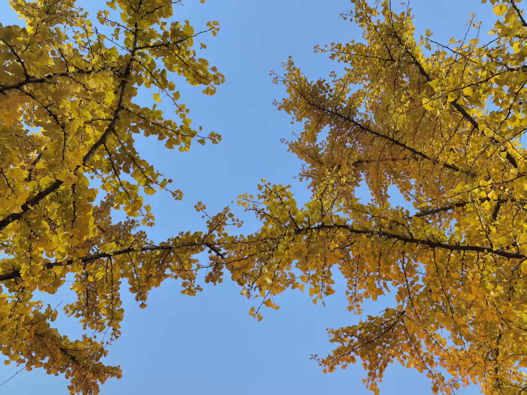 《立冬！深圳宇锡对点悟有感》