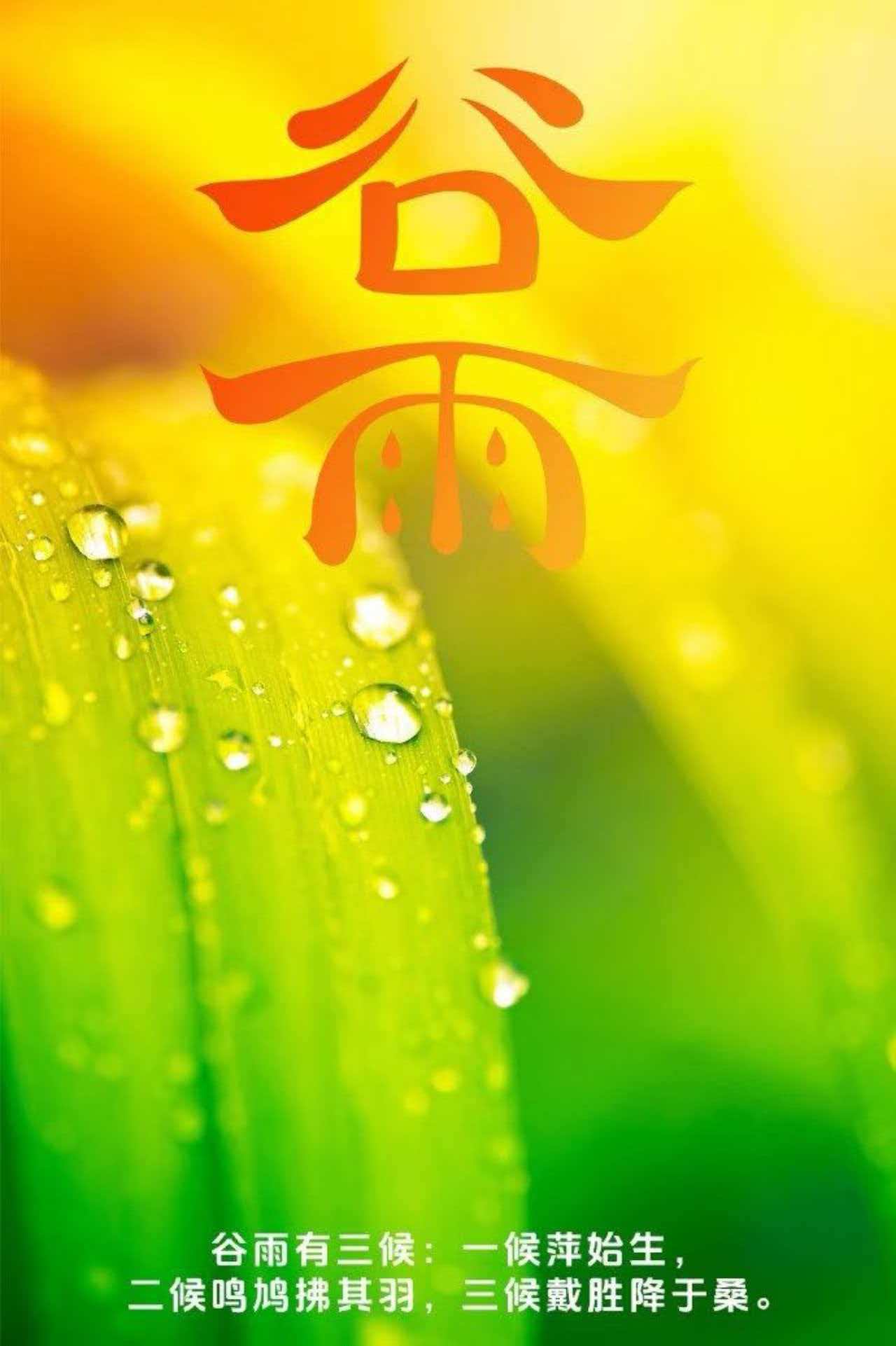 《谷雨福泽恰逢厚积薄发》