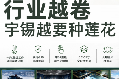 《哪怕行情不好，宇锡也要在园中种满莲花》