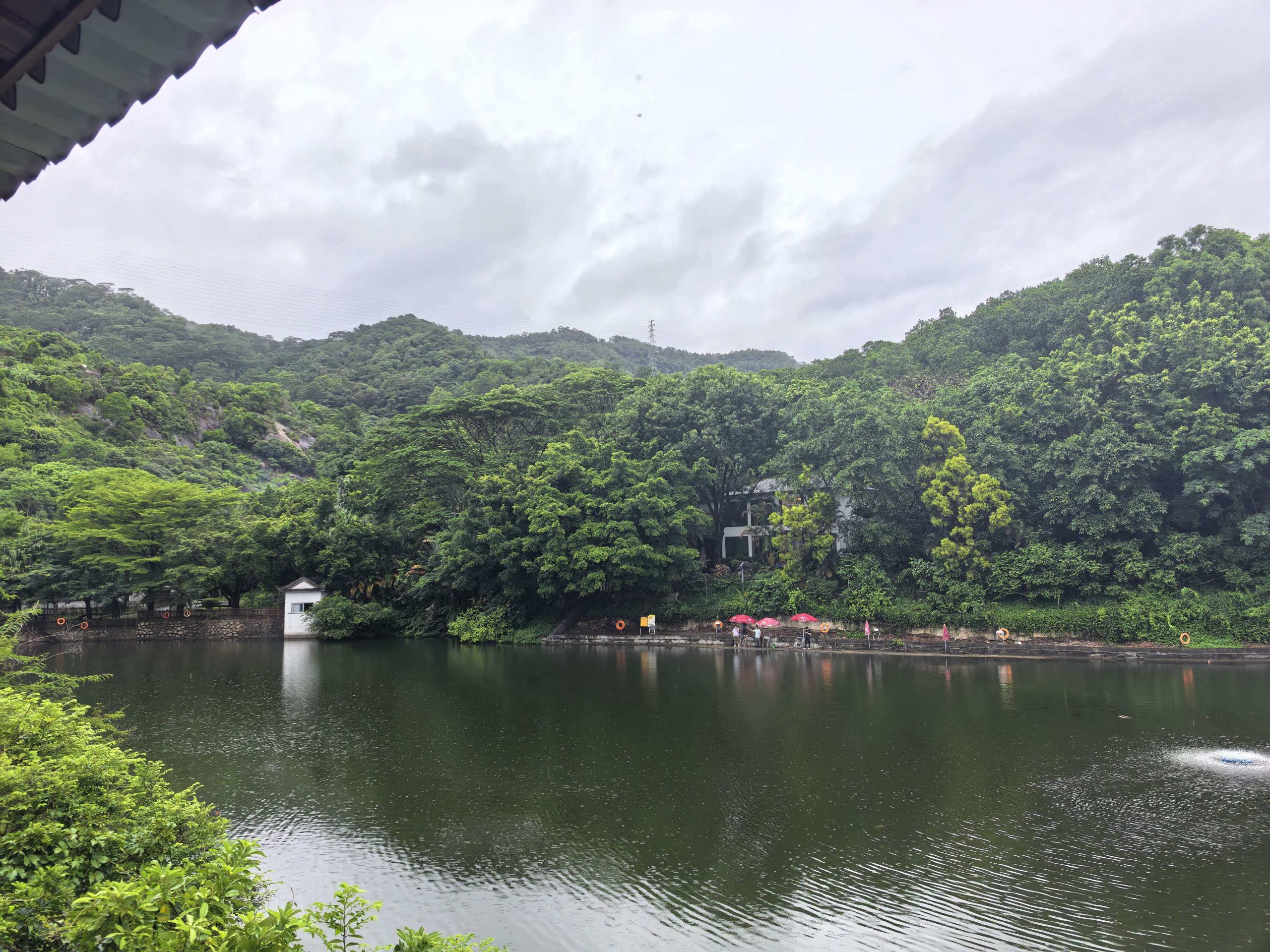 《风雨同舟恰逢农历520》