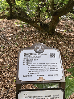 《自洽 利他｜深圳宇锡重阳登见己见远》