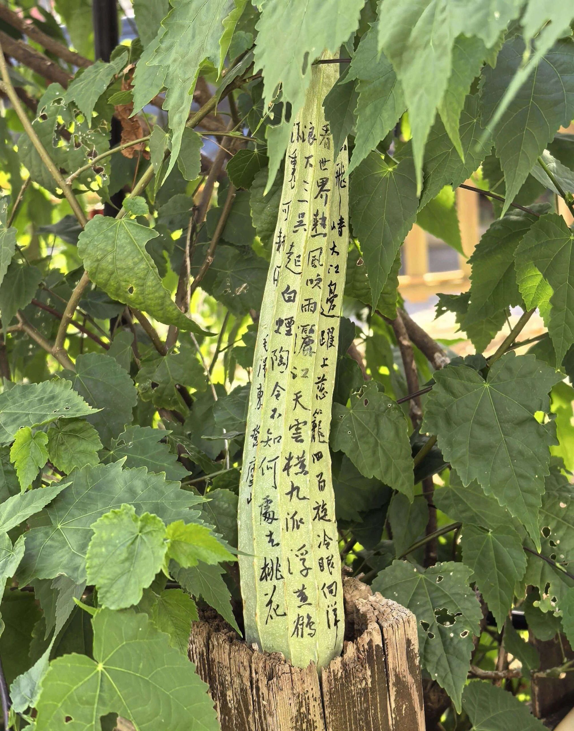 《深圳宇锡13.3寸800nit高亮-43℃低温工作屏模组雨后春笋》